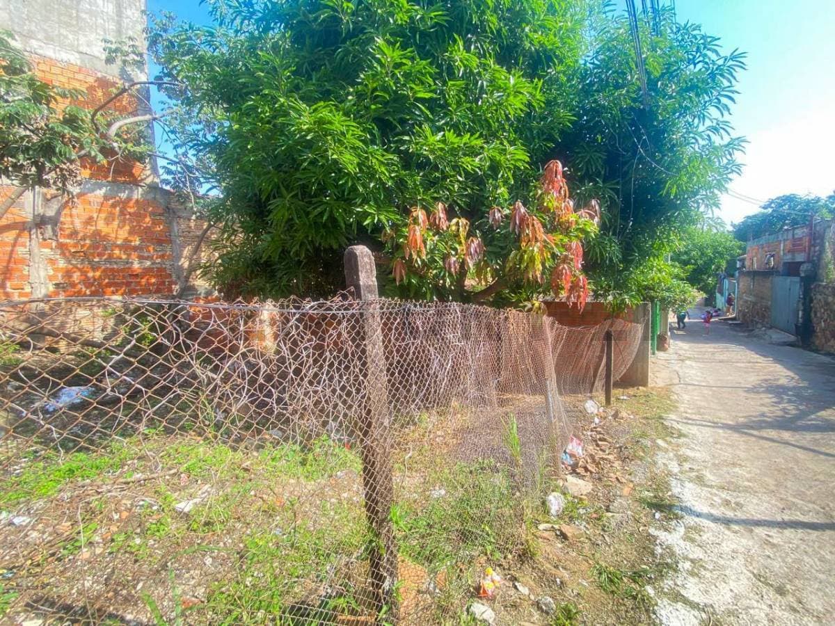 Casa a precio de terreno en mra, foto 3