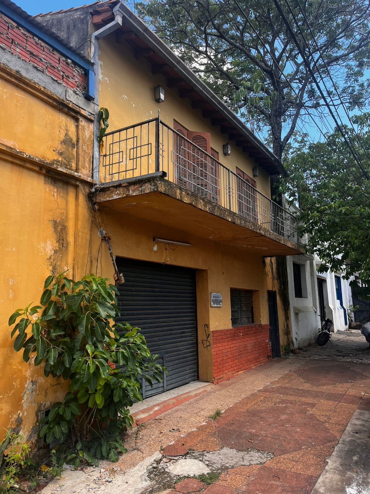 Tinglado en esqina sajonia