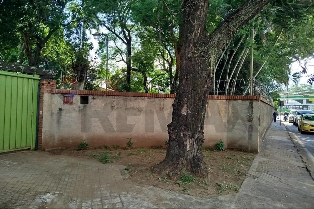 Terreno Único en Av. Mariscal López, Mburicaó — foto 2