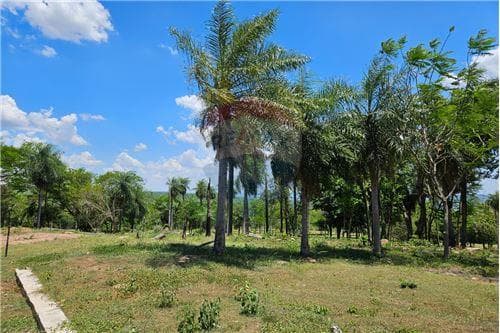 Terreno-Venta-PY Cordillera San Bernardino LA SIERRA: A 1.500 metros de la Ruta…, foto 5