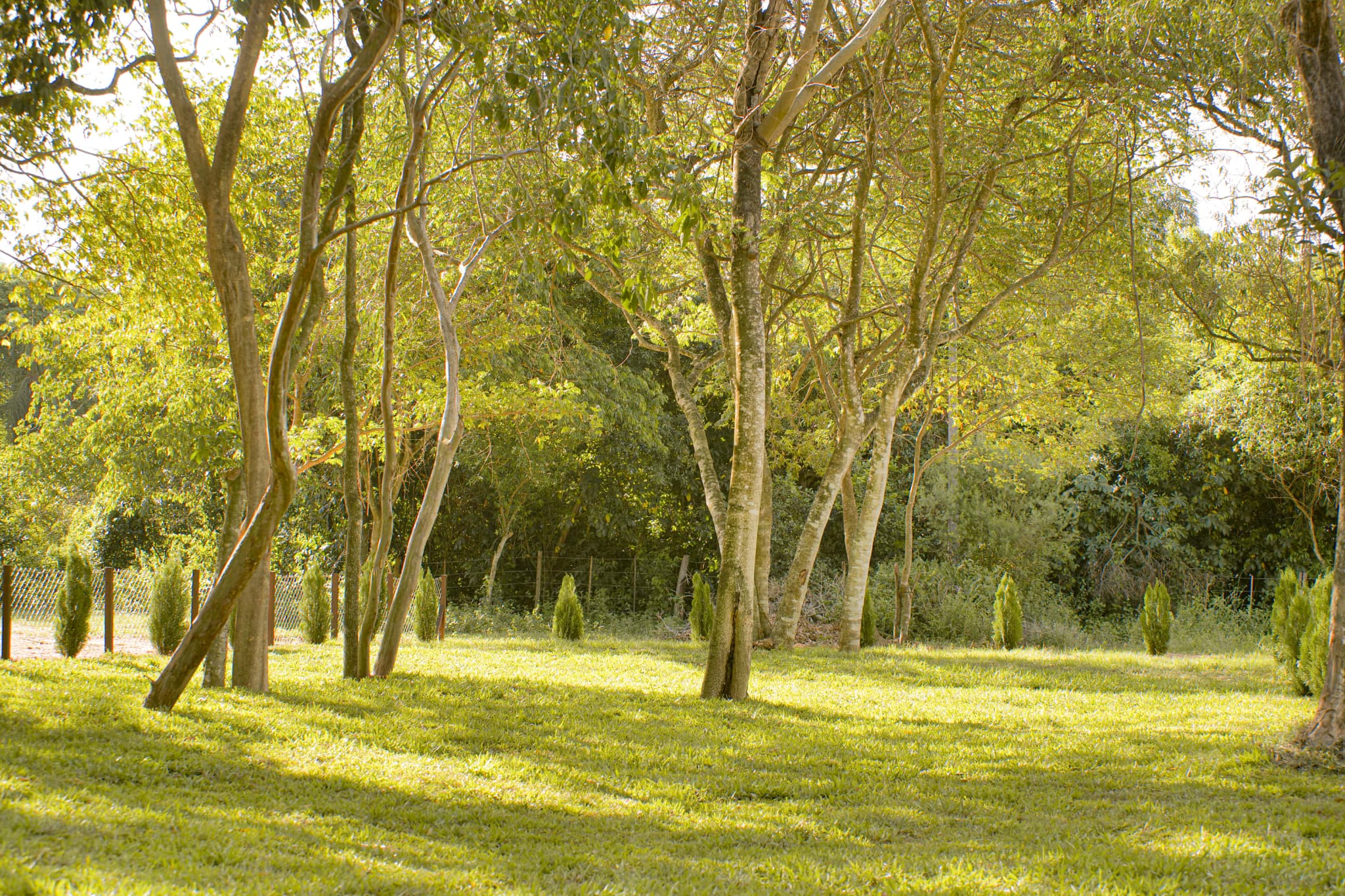 Tu lugar de descanso rodeado de naturaleza, foto 4
