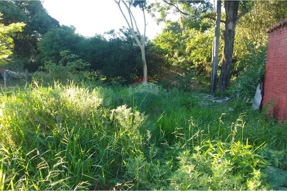 Terreno en San Lorenzo, foto 4