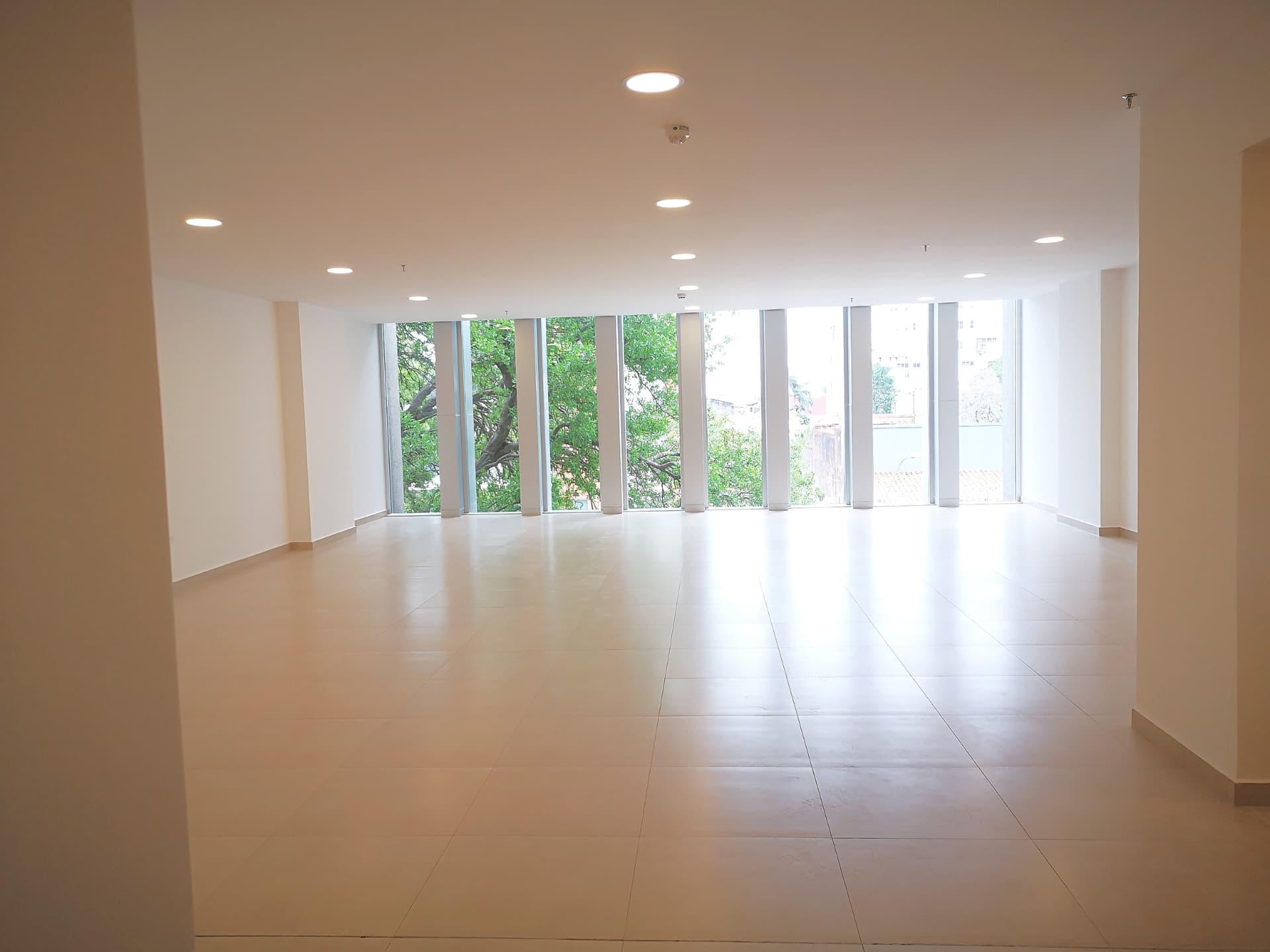 La Seguridad Y Elegancia Que Tu Empresa Necesitan. En El Centro!, foto 3
