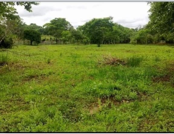 Excelente Oportunidad - Hermoso Terreno En Encarnación — foto 3