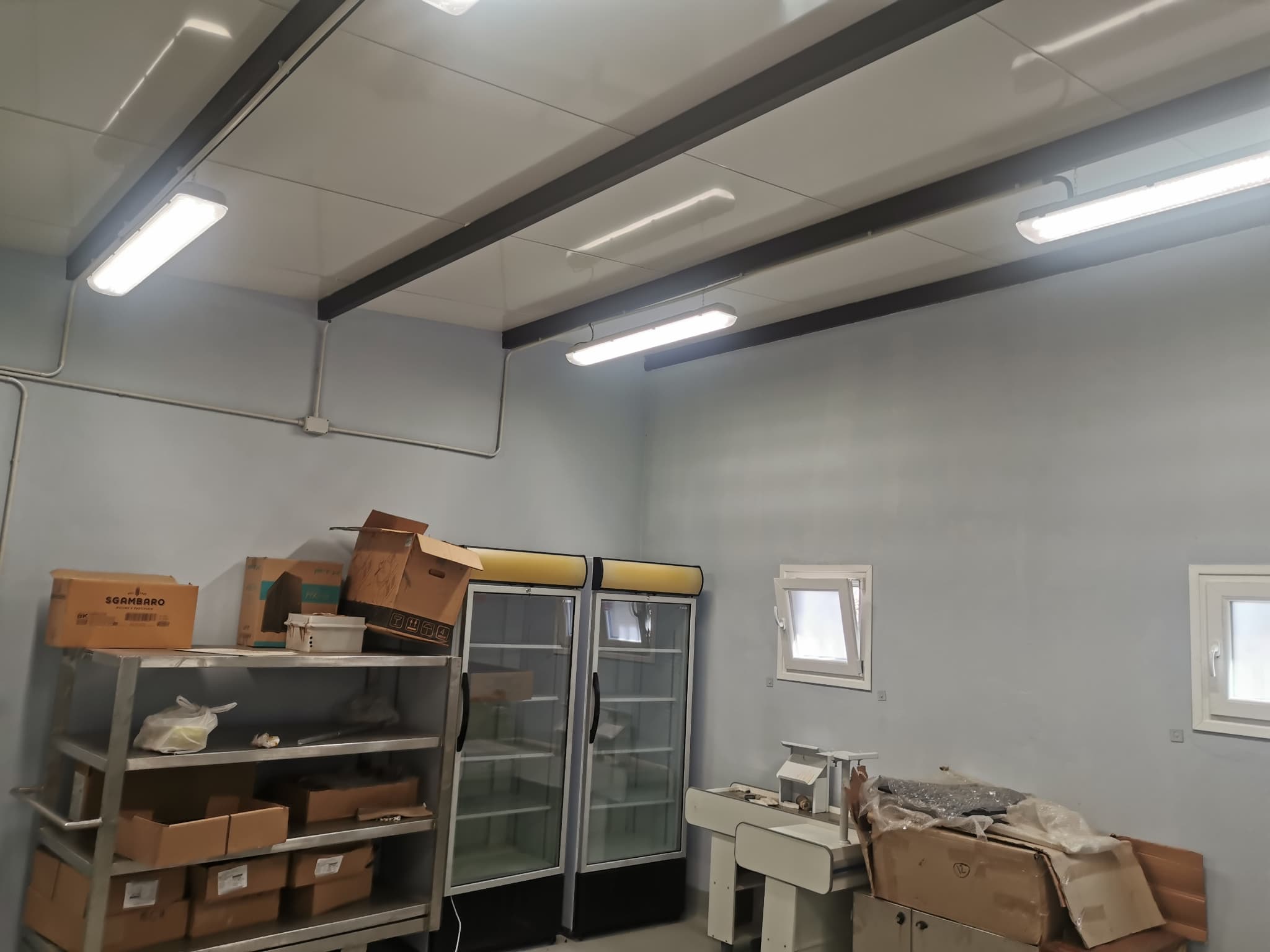 Fábrica Laboratorio Deposito Equipado, para producción de productos alimenticios — foto 2