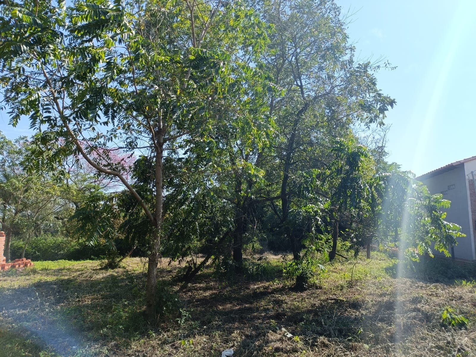 Terreno en venta en la cuidad de Ñemby, foto 2