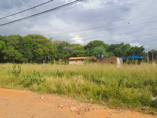Terreno en limpio, foto 3