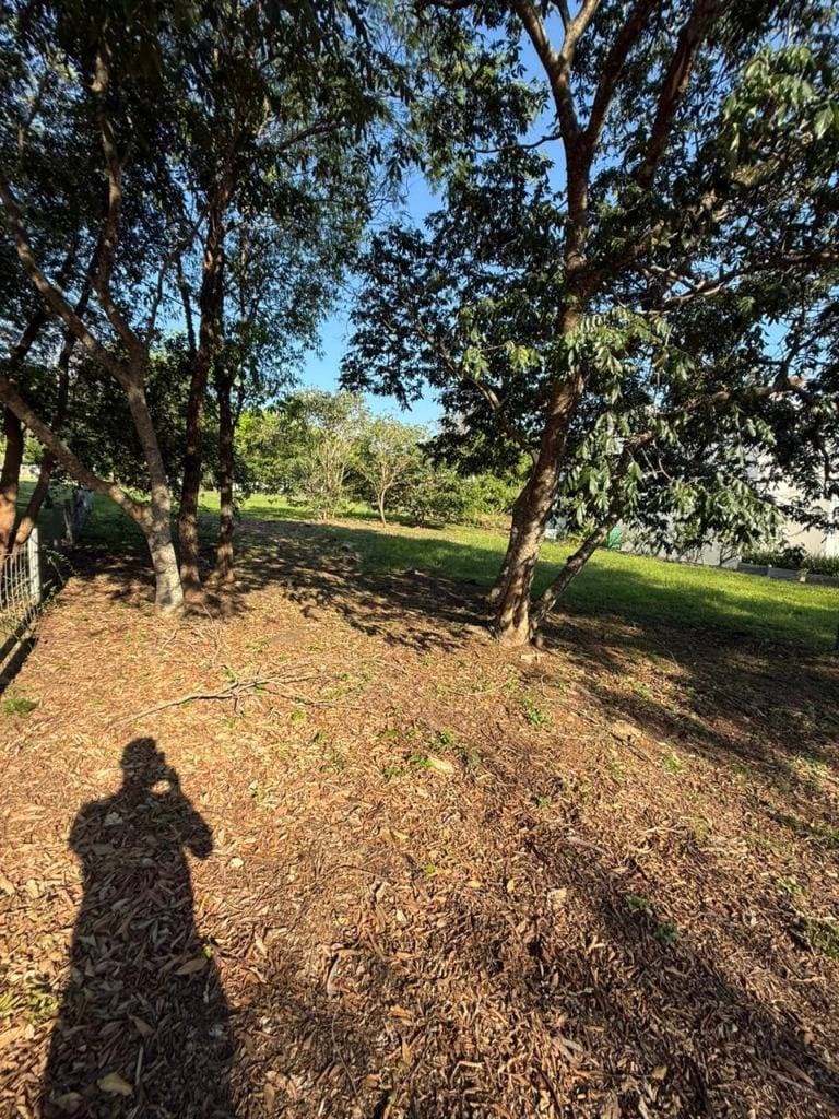 Terreno en Venta – Sunset Hills, San Bernardino, foto 3