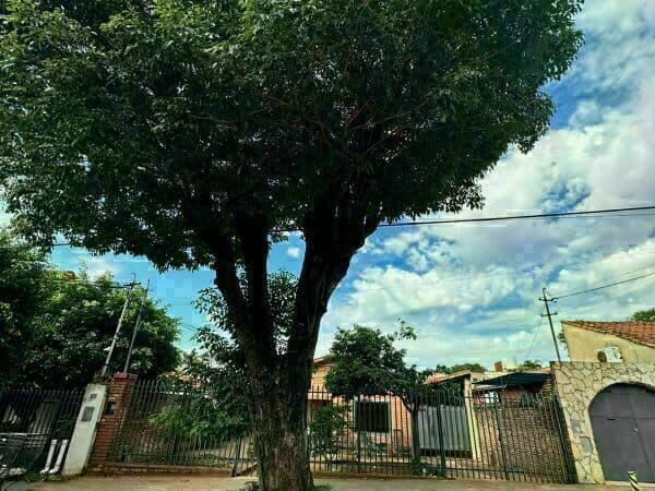 Casa sobre calle asfaltada en el barrio mburucuya, foto 1