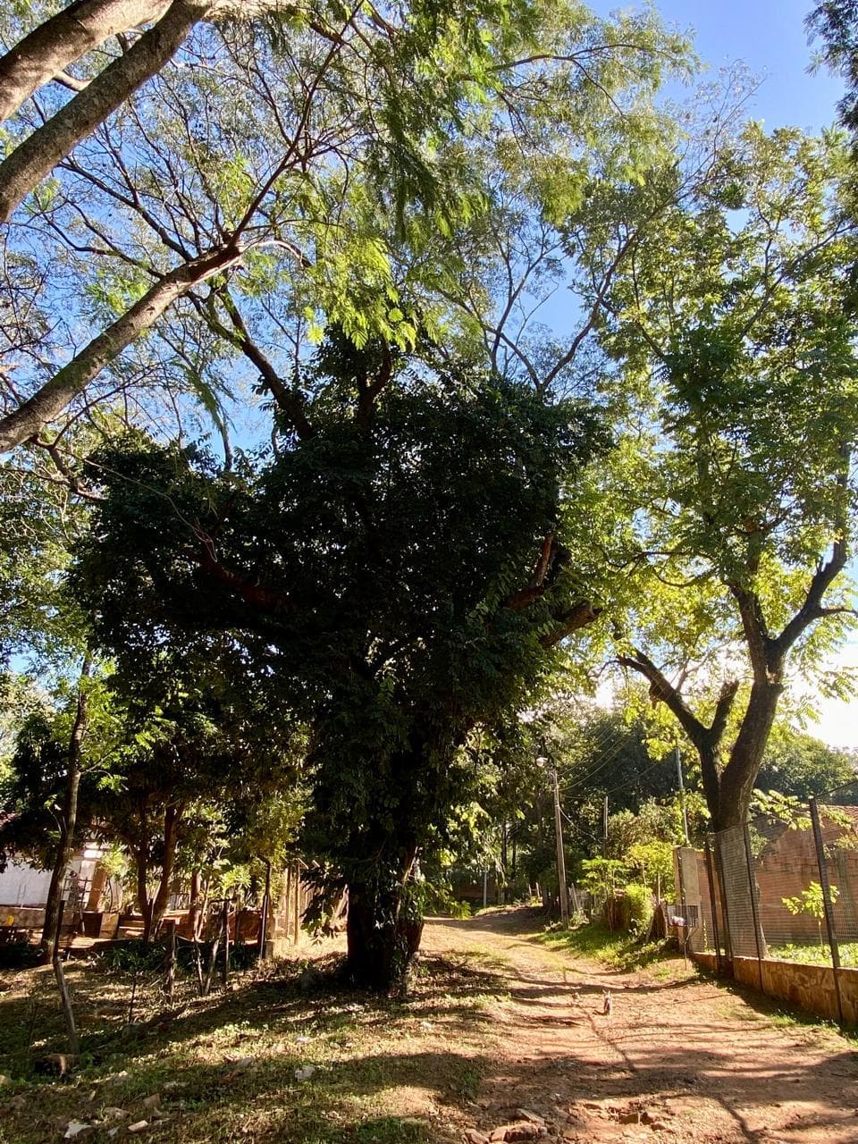Hermoso Terreno en altura a metros de la Ruta San Bernardino - Altos — foto 4