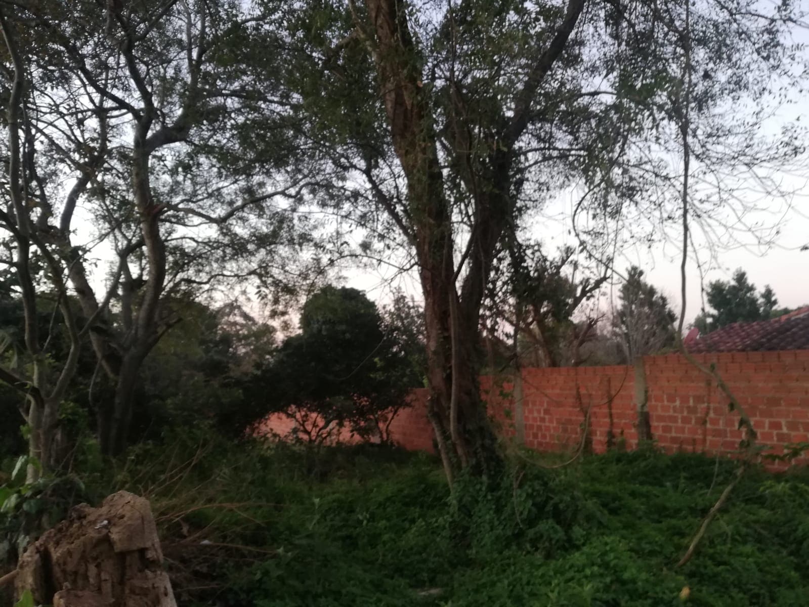 Se vende amplio terreno en piribebuy, foto 2