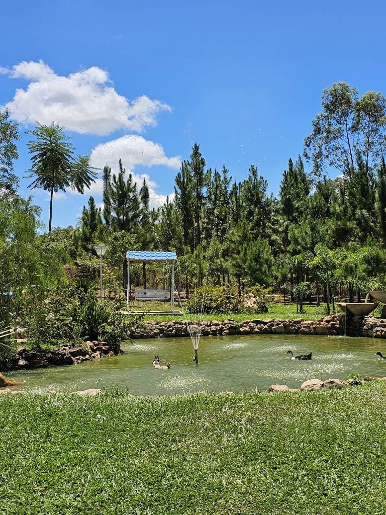 Altos, Cordillera Terrerno 57.100 m2 , 915 m2 construidos, foto 4