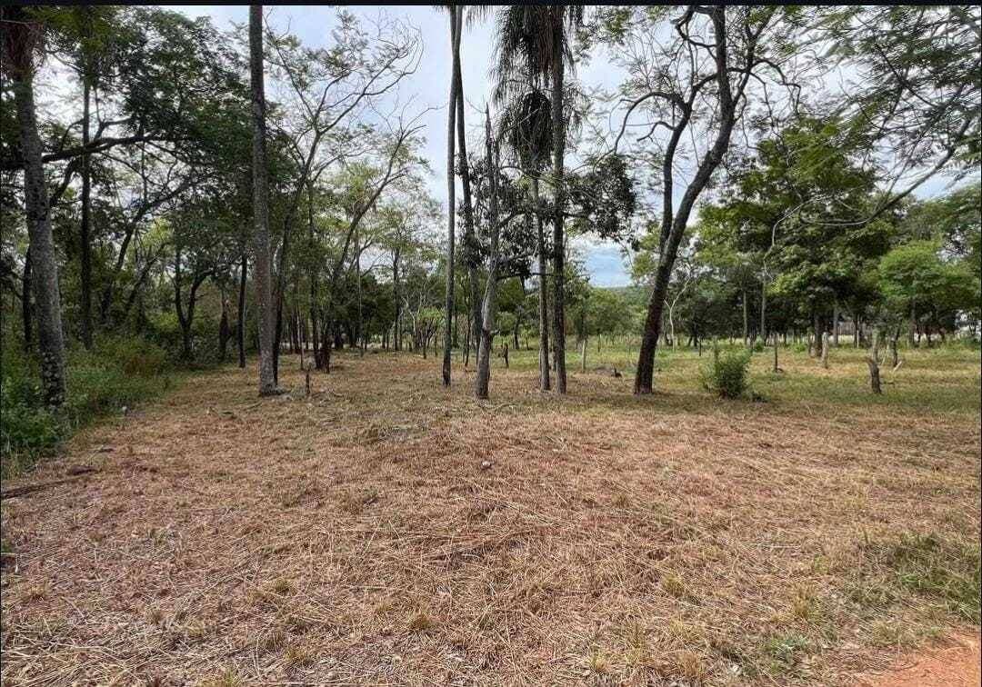 En venta amplio terreno – San Bernardino, zona ciervo cua, foto 3