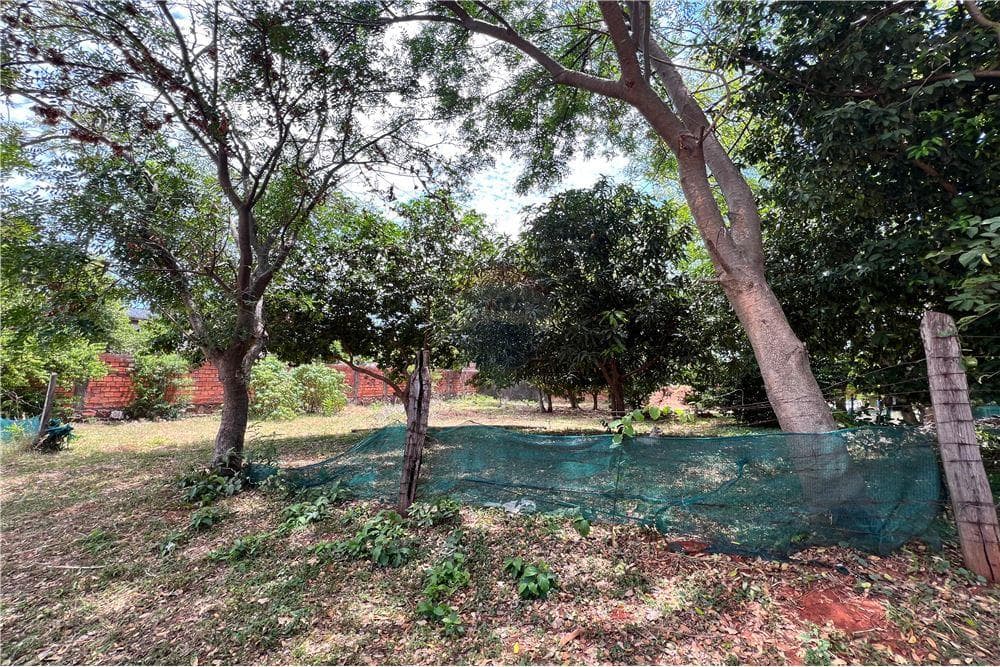 Terreno en venta Villa Elisa zona colonia elisa, foto 2