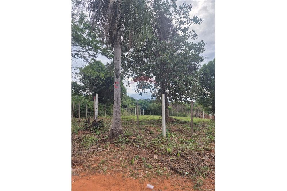 Terreno en Luque, foto 2