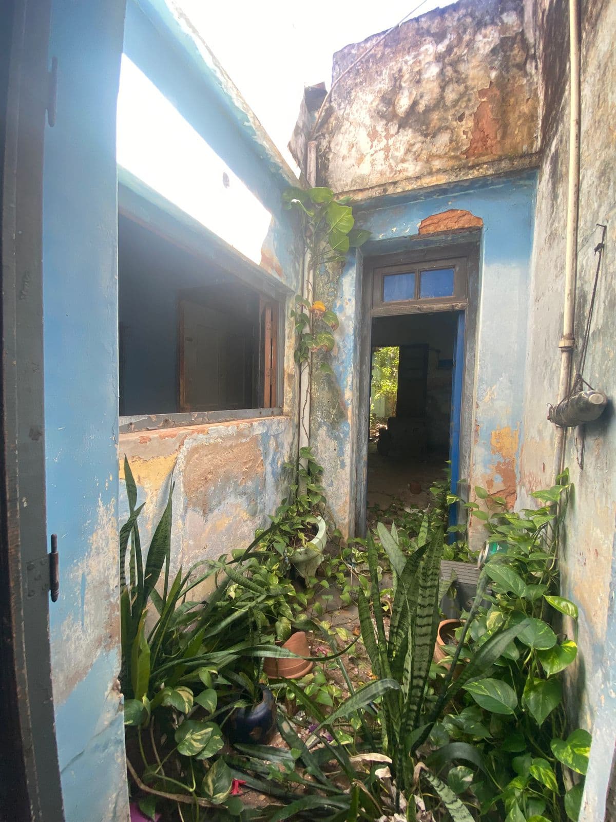 Inmueble en el Micro Centro de Asunción - Oliva e/ Hernandarias y Colón — foto 2