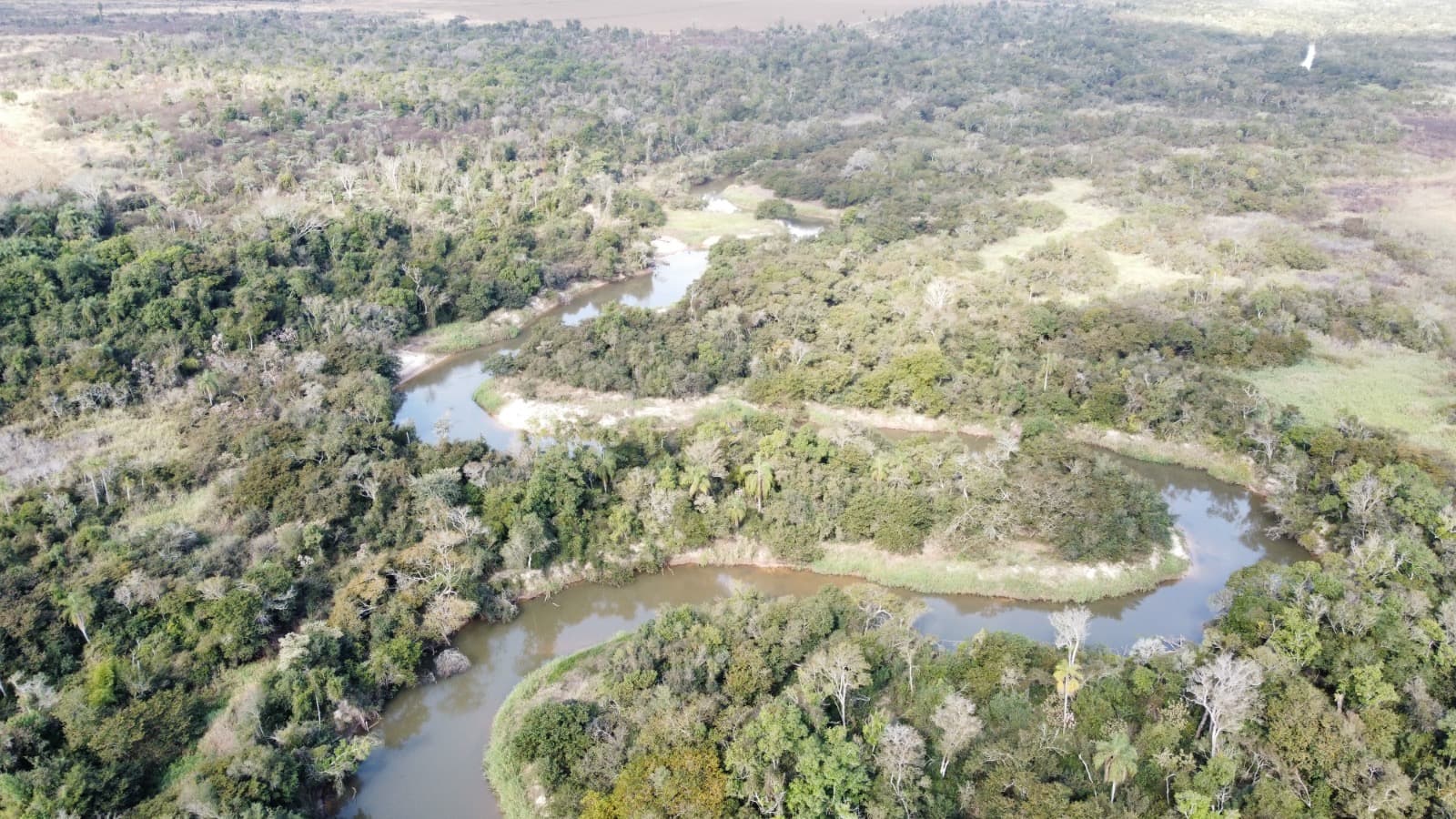 Campo en venta! – 1.001 hectáreas productivas - curuguaty, foto 5