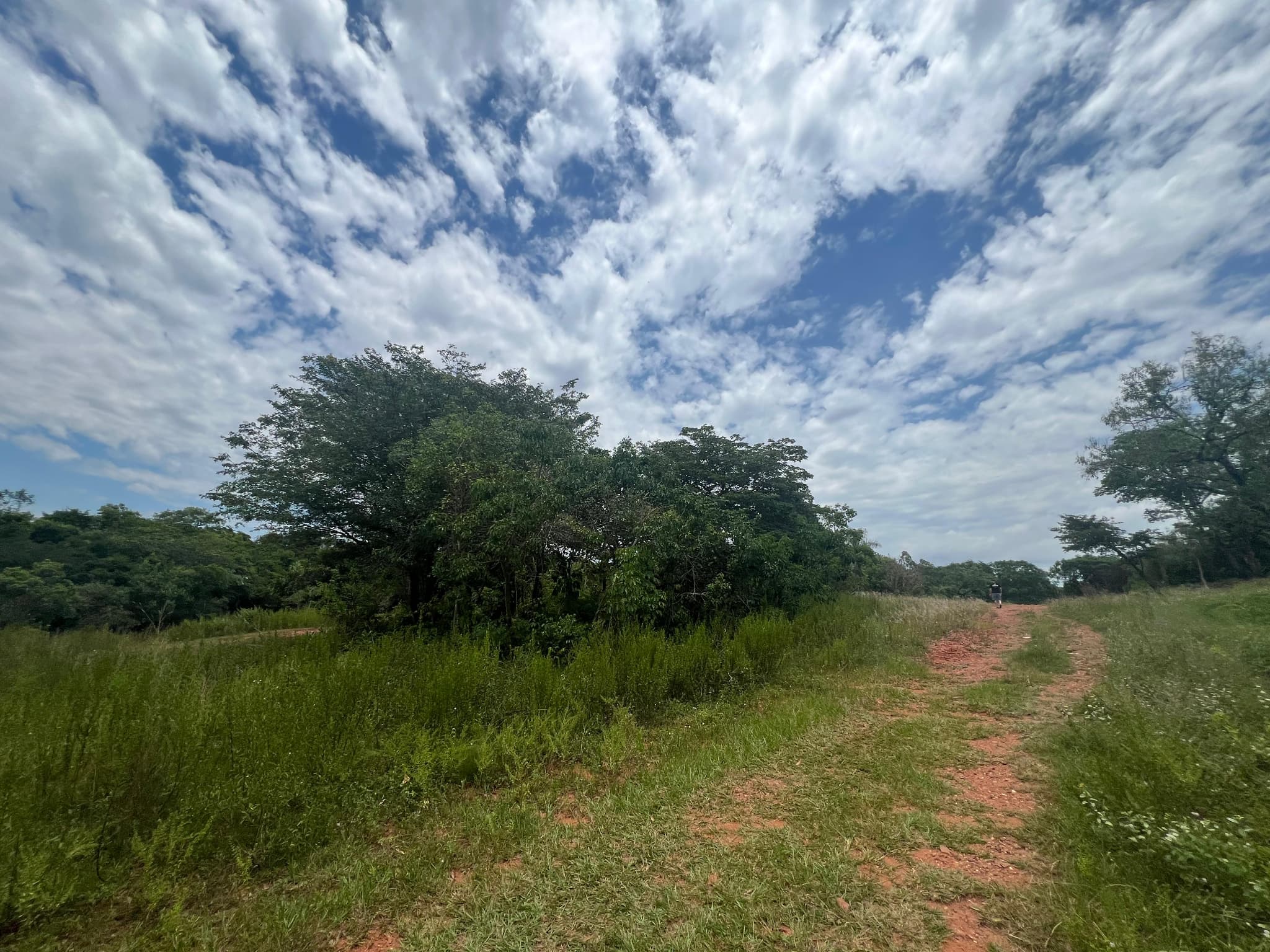 Oportunidad real de inversión en Luque jukyry, foto 5