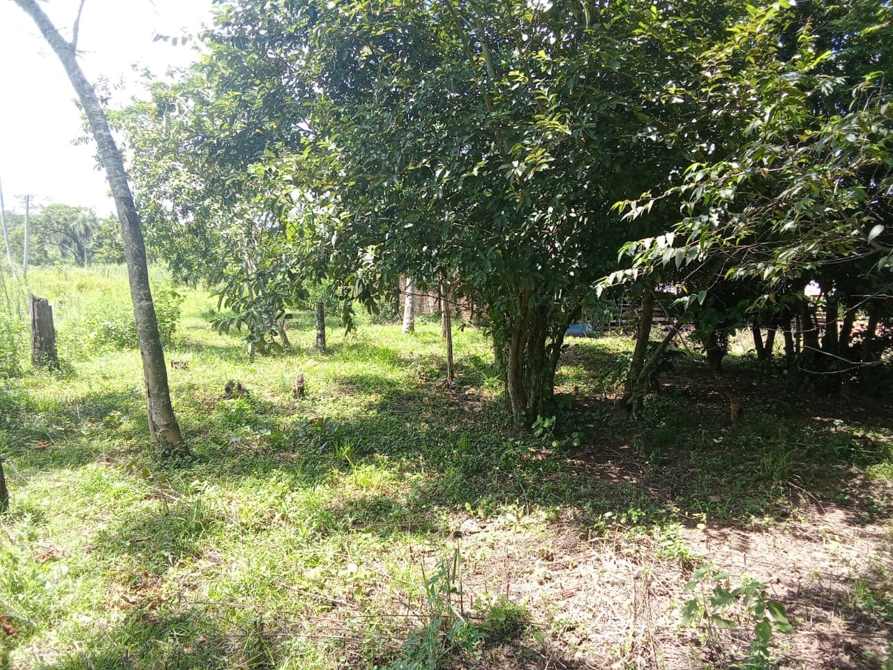 ???? Vendo hermosa propiedad de 16 hectáreas en barrero grande -eusebio ayala, foto 3
