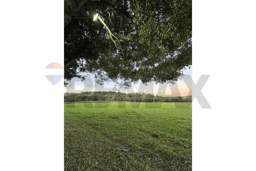 10 hectáreas en coronel oviedo, foto 4