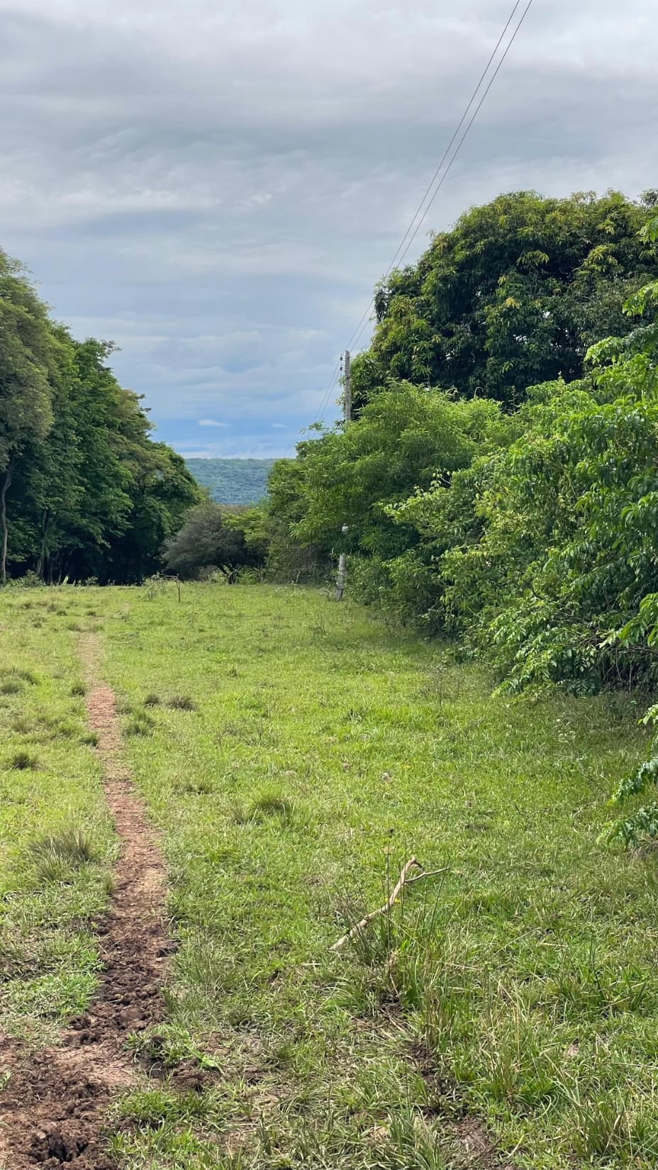 12,9 hectáreas en Sapucai Hermosas vistas, foto 3