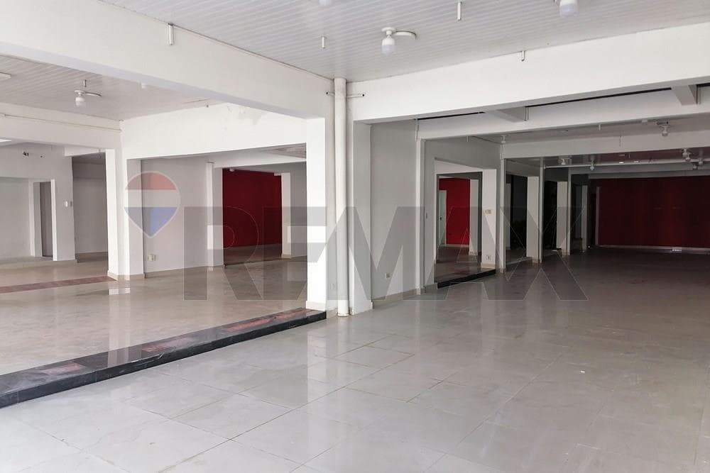 Local Comercial en Alquiler sobre Avda.E.Ayala, foto 3