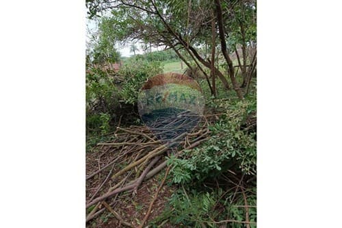 Terreno en venta, la colmena, foto 4