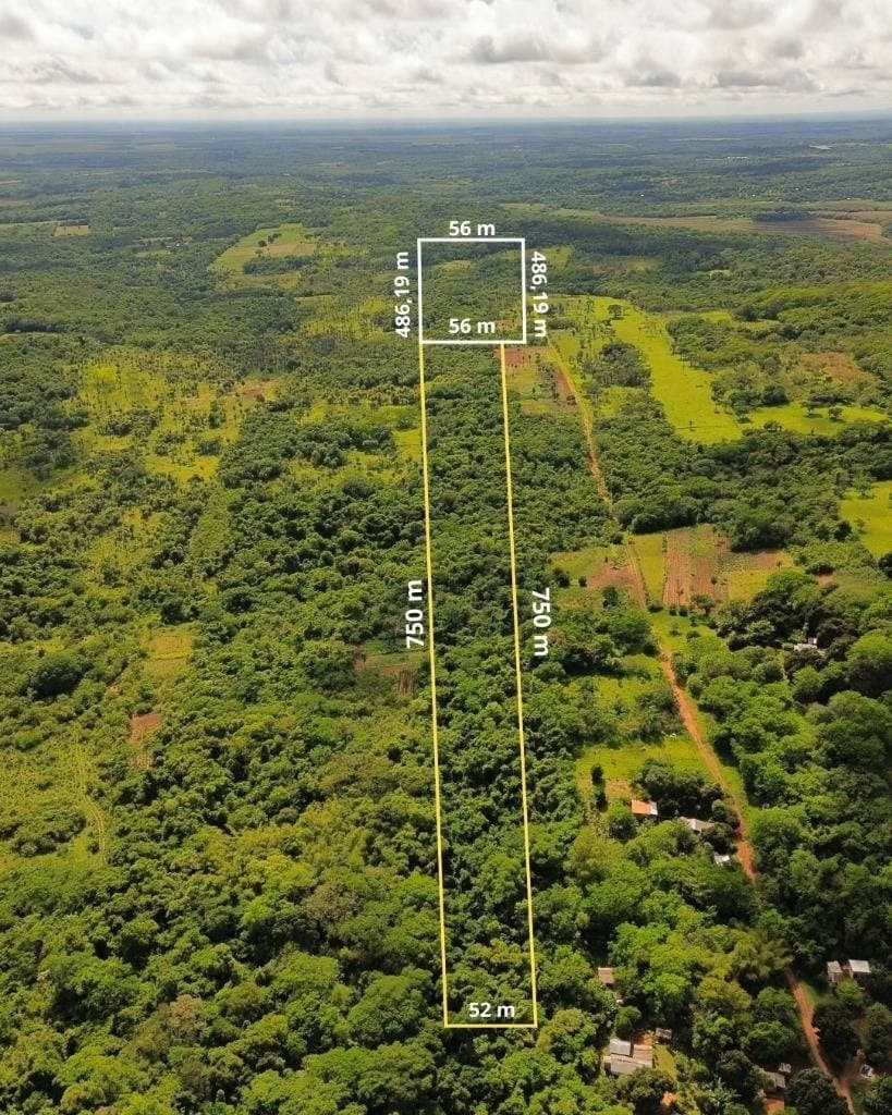 En venta 6.5 héctaras en itacurubí de la cordillera — foto 3