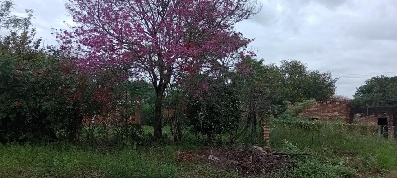 Amplio terreno en limpio cerca de plaza norte, foto 2