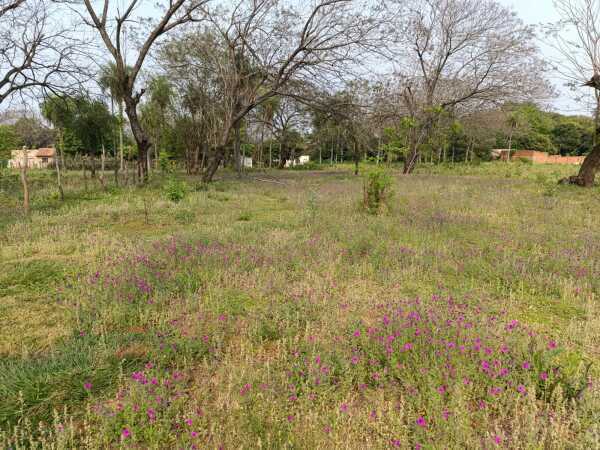 Amplio terreno en areguá caacupemi, foto 3