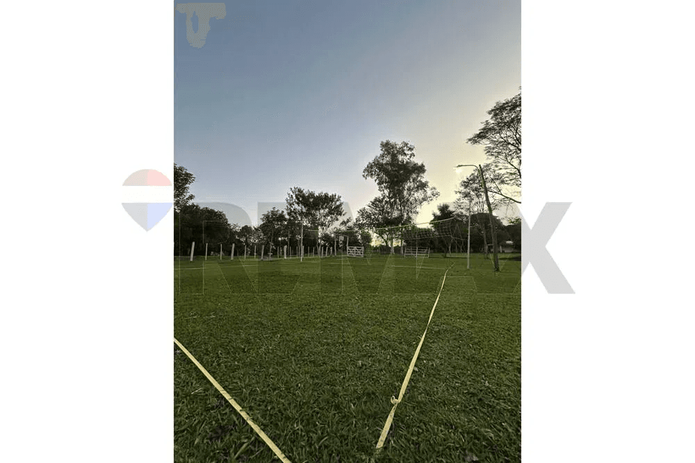 Alquilo 10 hectáreas en coronel oviedo