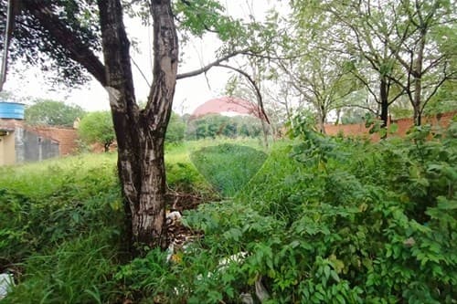 Terreno Ideal en Zona de Crecimiento, foto 3