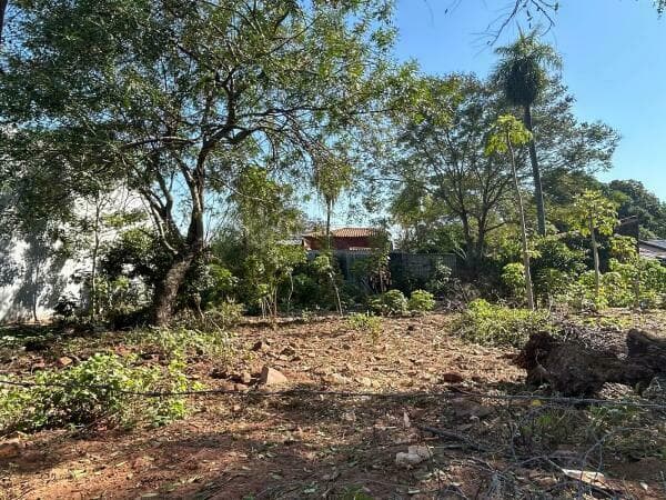Terreno en oferta en lambare, foto 2