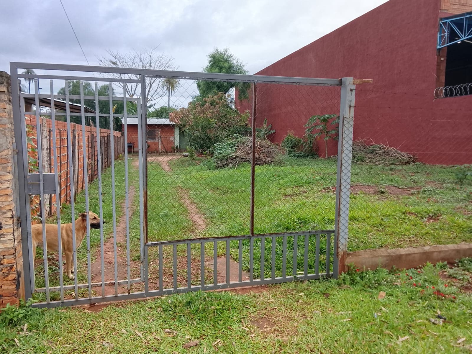 Vendo terreno en Luque cañada san rafael