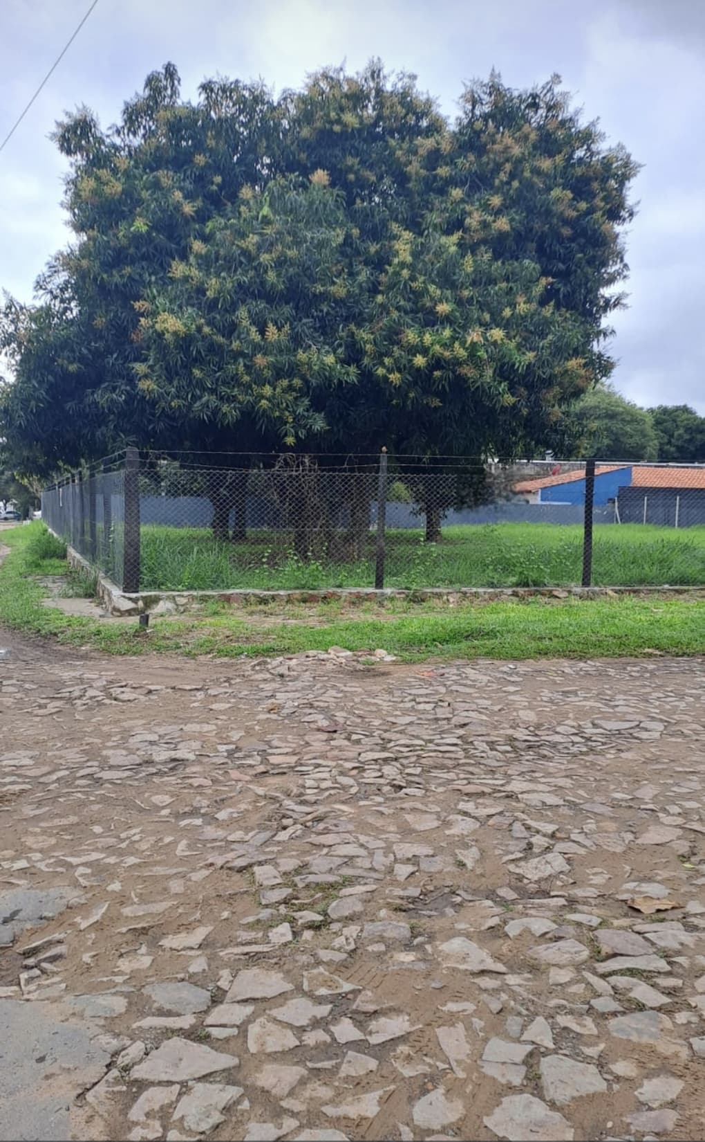 Amplia propiedad con excelente ubicación en Asunción, foto 2