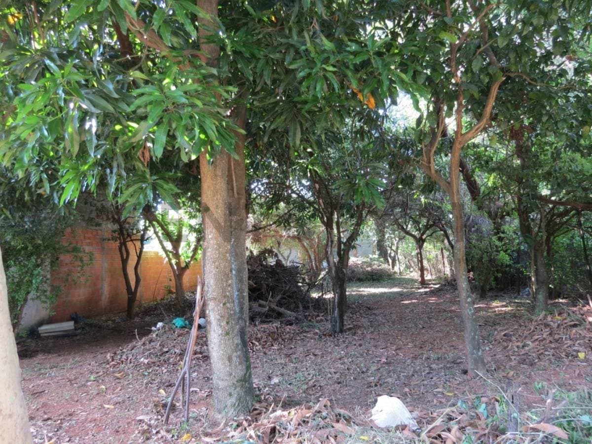 de Terreno en Luque, Central, foto 4