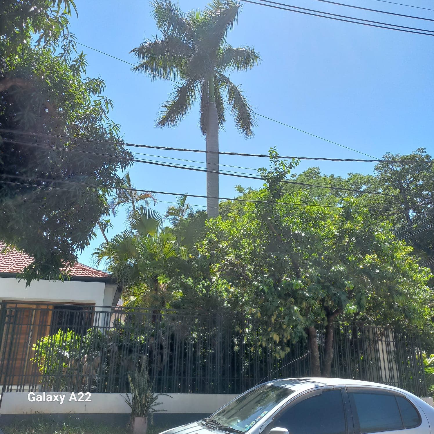 Casa