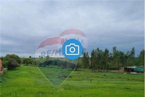 Terreno-Venta-Sargento 1ro Maidana casi Emilio Gabriaguéz, Capiatá, Central