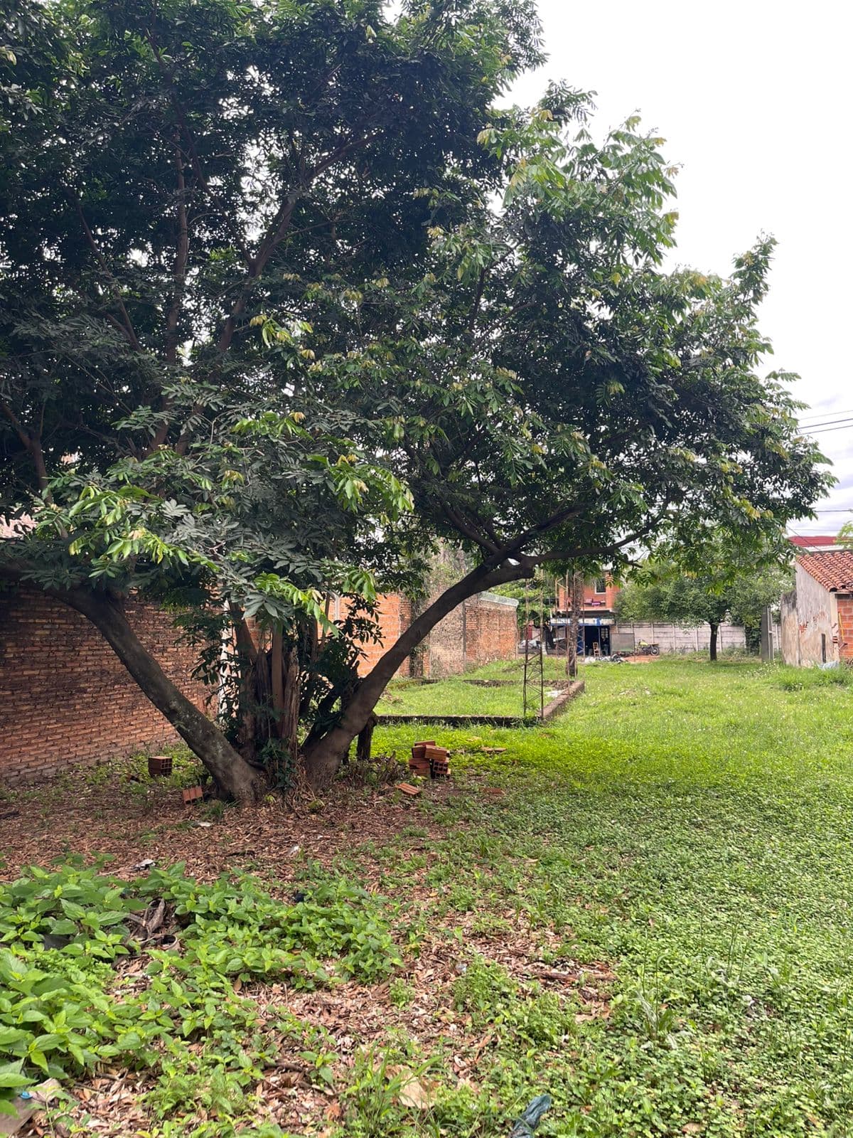 Terreno en loma merlo Luque, foto 3