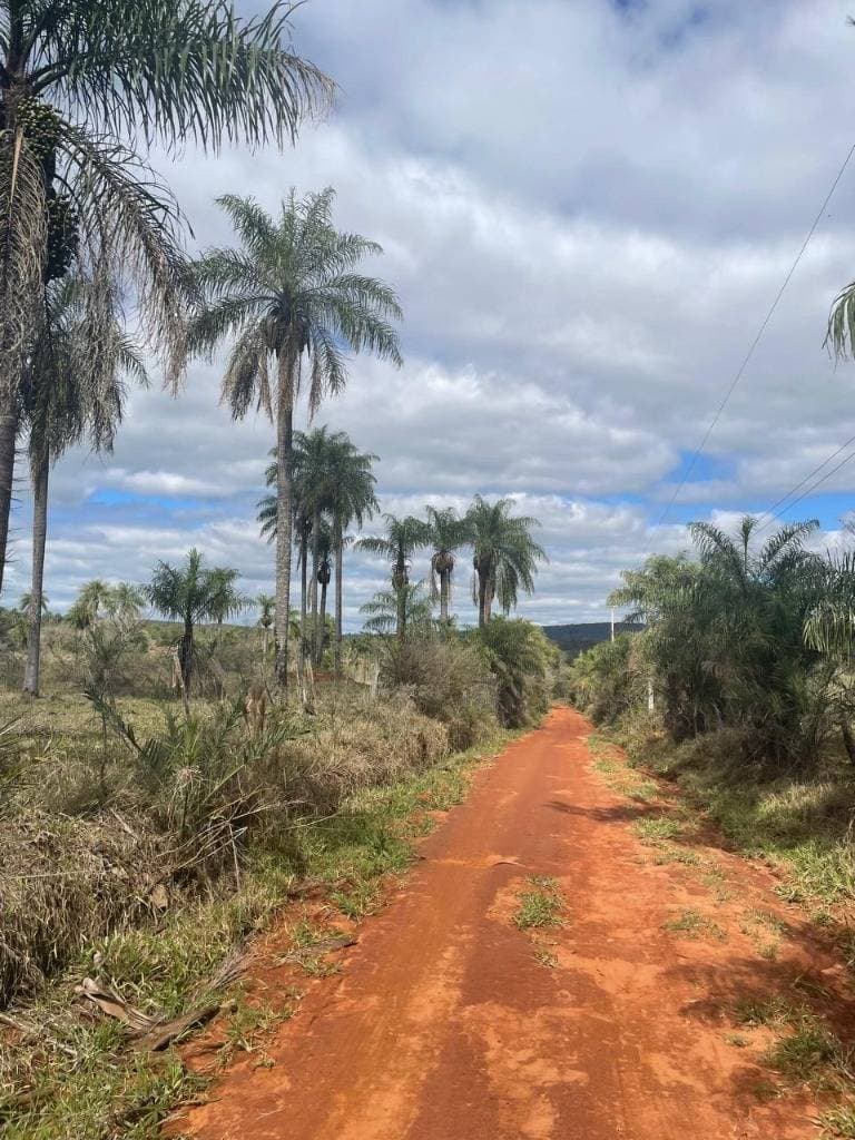 Terreno en ybucui — foto 4