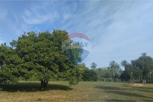 Vendo terreno en nueva colombia