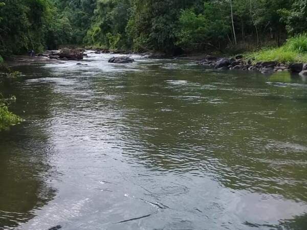 Propiedad en venta de 41 ha en pdte franco, foto 4
