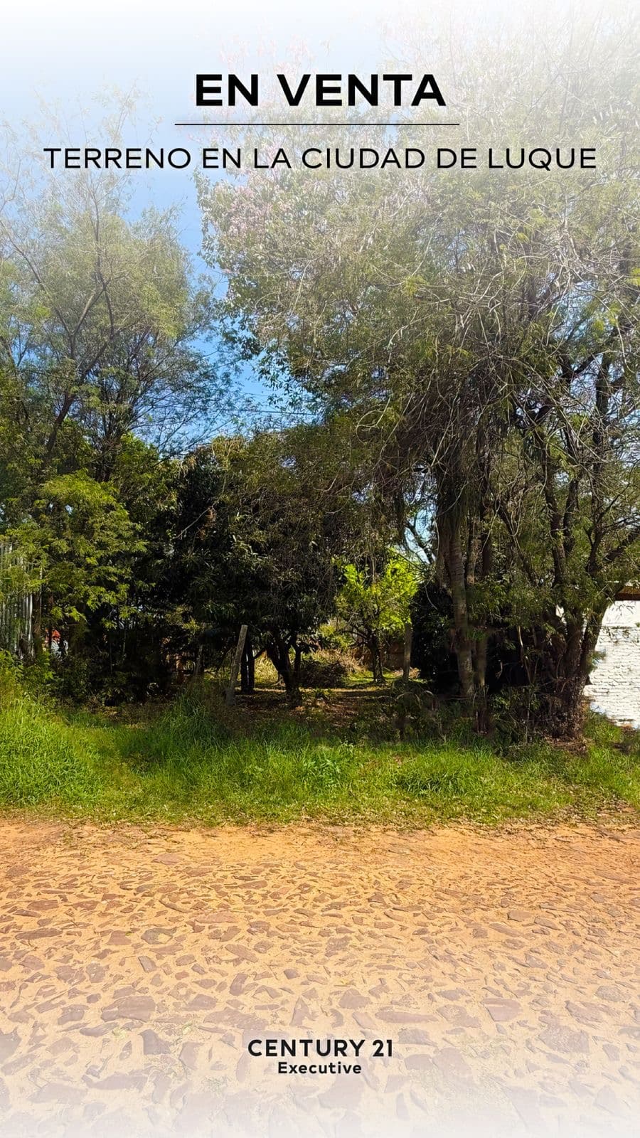 Terreno en Palma Loma Luque, foto 2