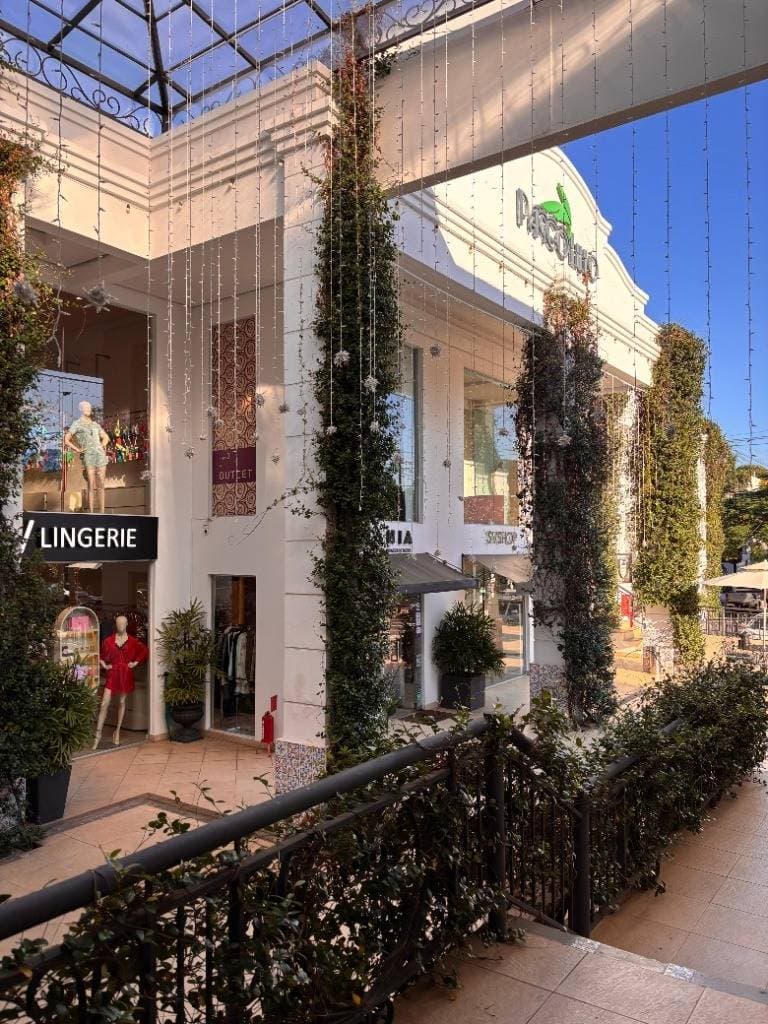 Locales Comerciales En El Paseo Lillo, Villa Morra, foto 3