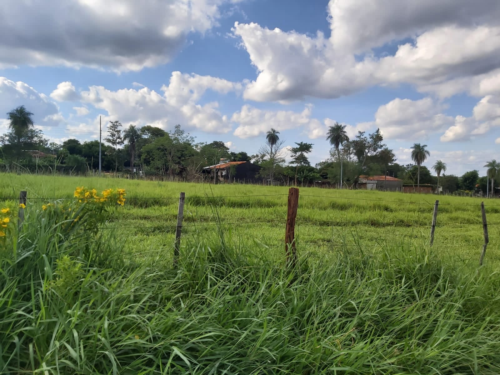 Terreno en venta en capiata!, foto 3