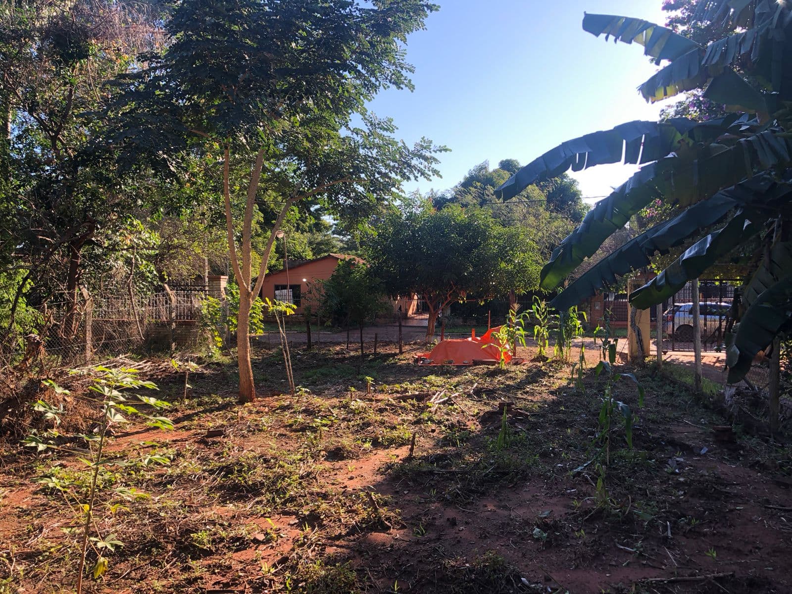 Oferto amplio terreno en venta en San Lorenzo, foto 2