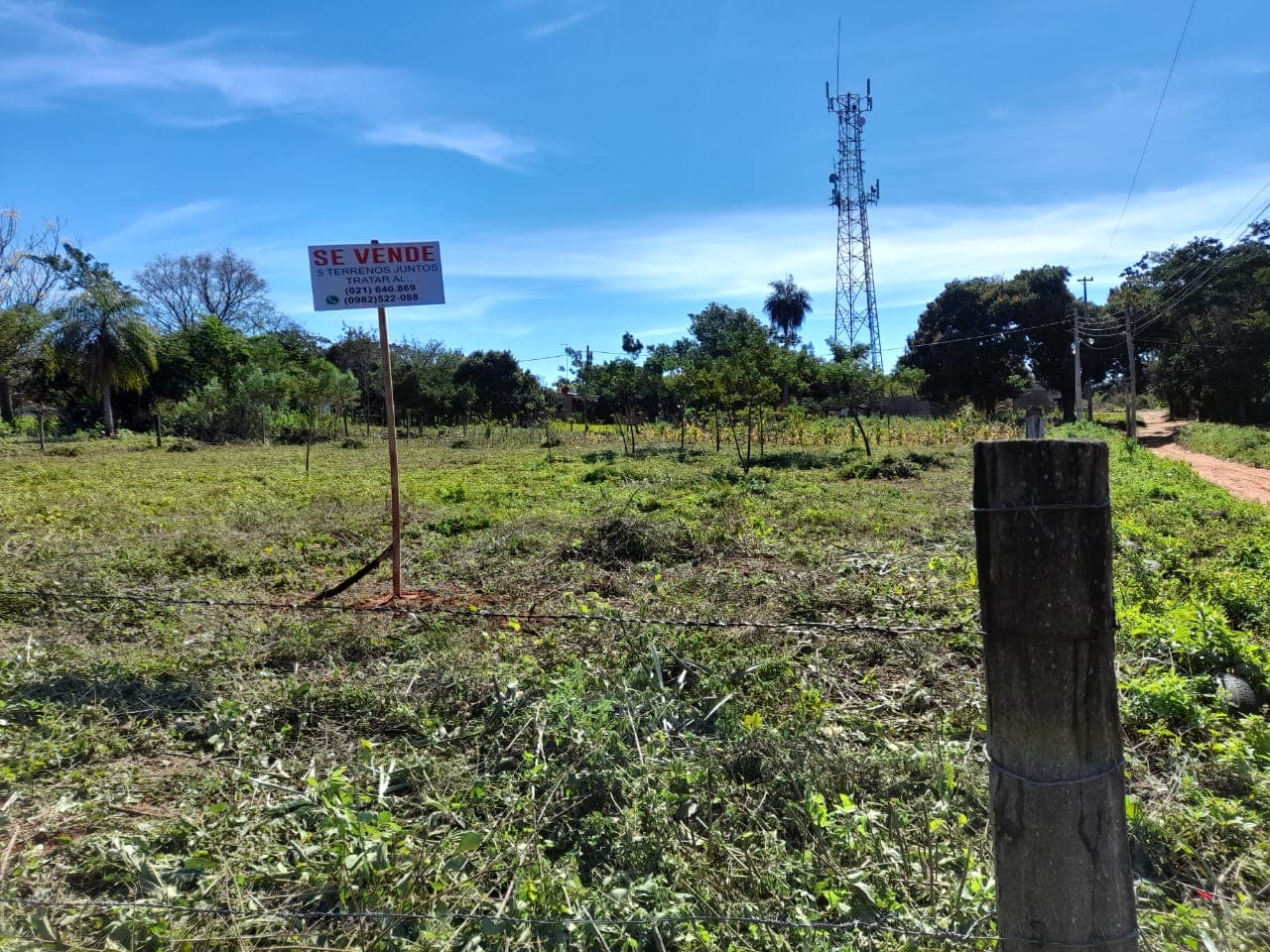 5 terrenos juntos en esquina en ypane-paso de oro — foto 4