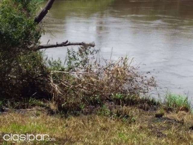 3 has en nueva fortuna, hernandarias, sobre el río acaray!!, foto 1
