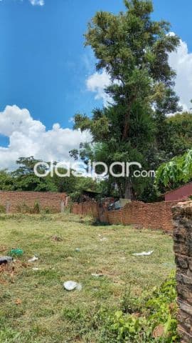 Terreno en lambare 620 mt2 — foto 3
