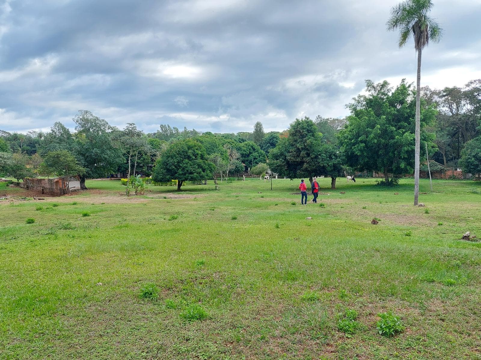Quinta en venta 1,65 Has Zona Guazuvirá Itaguá, foto 2